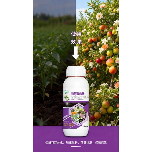 螯合水溶肥花芽分化素怎么樣,為峰肥業(yè)花芽分化素