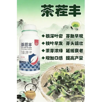 促芽萌發(fā)壯嫩芽，芽肥芽多創(chuàng)高產(chǎn)茶茬豐代理