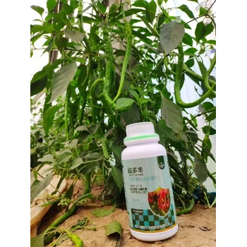 促花授粉椒多豐辣椒葉面肥作用,椒多豐廠家批發(fā)