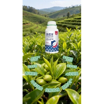 催芽劑茶茬豐茶葉葉面肥作用,茶豐素茶葉高產(chǎn)肥