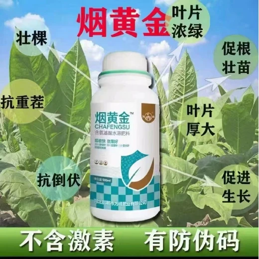 調(diào)控落黃效果，烘烤便捷效率高煙黃金代理