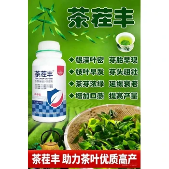 提質(zhì)增產(chǎn)，核心在于育出肥壯芽茶茬豐價(jià)格