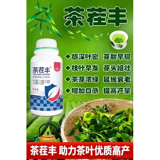 提質(zhì)增產(chǎn)，核心在于育出肥壯芽茶茬豐代理