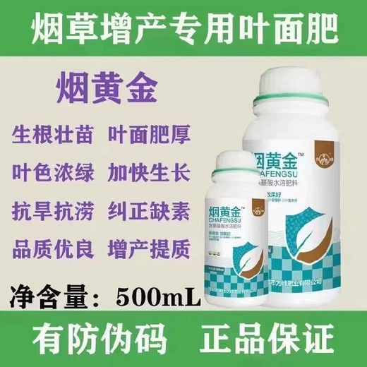 煙黃金怎么購買增厚葉片質感，濃綠鮮亮提品相