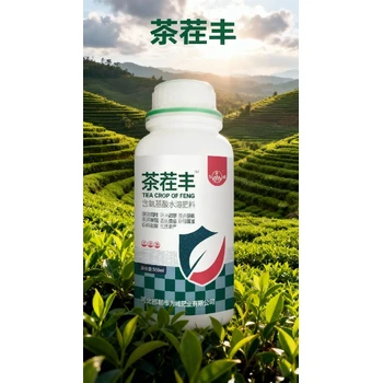 茶茬豐價格增強光合芽頭早發(fā)，芽嫩芽齊芽壯