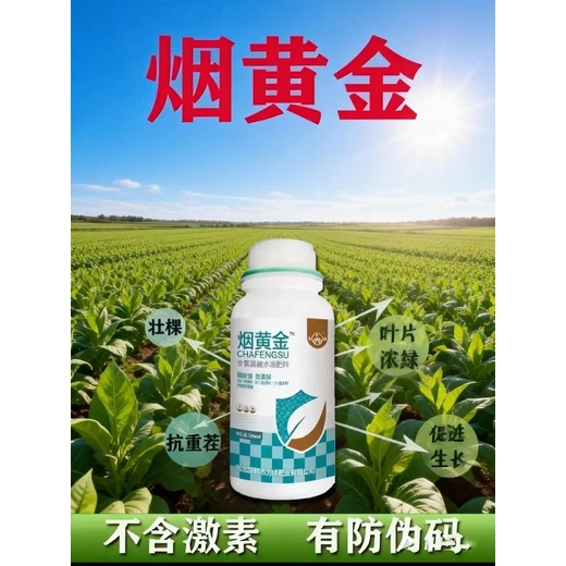 促使小葉變大，葉片肥厚更濃綠煙黃金正品批發(fā)