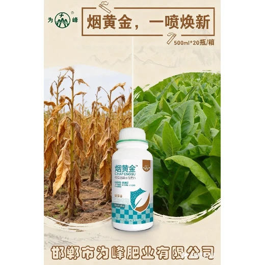 改善小葉薄葉，煙株葉片更健壯煙黃金怎么代理