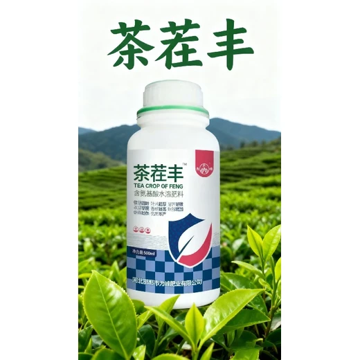 科學(xué)噴施，實(shí)現(xiàn)芽量芽重雙突破茶茬豐