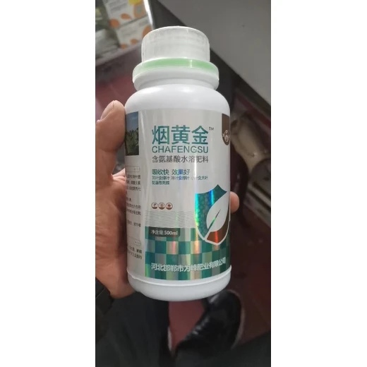 煙黃金效果好培育肥厚葉片，葉色濃綠無(wú)雜色