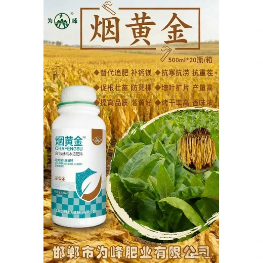 煙黃金廠家滋養(yǎng)煙葉增香，香氣醇厚無雜味