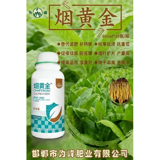 均衡供給養(yǎng)分，避免黃葉促進(jìn)厚綠煙黃金代理