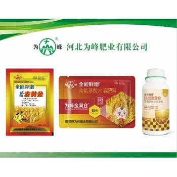 促進分蘗胖墩小麥高產(chǎn)增產(chǎn)肥業(yè)務(wù)員,小麥胖墩廠家招商