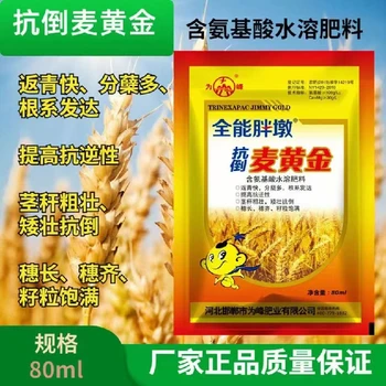 灌漿飽籽分蘗肥小麥高產(chǎn)增產(chǎn)肥用法用量,小麥胖墩廠家招商