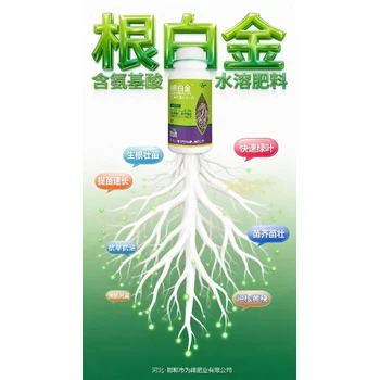 促生根根多壯生根肥代理,生根劑廠家批發(fā)