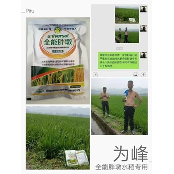 促進分蘗糧滿倉小麥高產(chǎn)增產(chǎn)肥廠家,麥黃金葉面肥批發(fā)