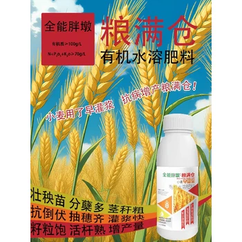 促進分蘗胖墩小麥高產(chǎn)增產(chǎn)肥業(yè)務(wù)員,小麥胖墩廠家招商