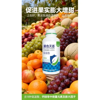 果實(shí)膨大日夜大膨果上色肥經(jīng)銷商,為峰肥業(yè)膨果上色葉面肥