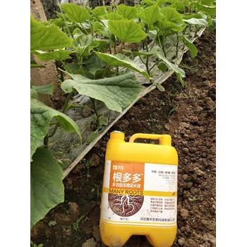 移栽生根根多多生根肥聯(lián)系方式,生根肥廠家招商