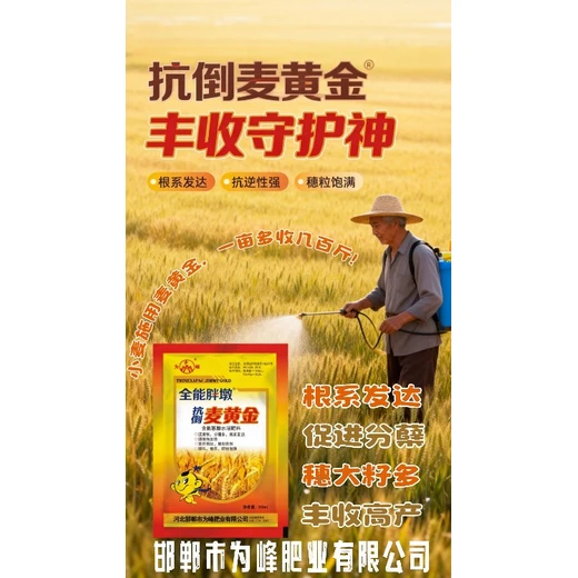 灌漿飽籽返青肥小麥高產(chǎn)增產(chǎn)肥價格,麥黃金葉面肥批發(fā)