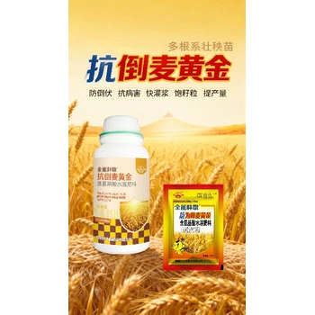 返青分蘗麥黃金小麥高產(chǎn)增產(chǎn)肥代理,為峰肥業(yè)小麥增產(chǎn)肥