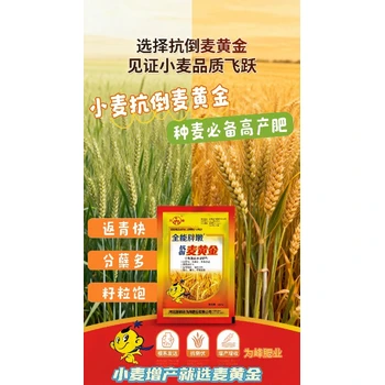 生根壯苗小胖墩小麥高產(chǎn)增產(chǎn)肥排名,小麥胖墩廠家招商