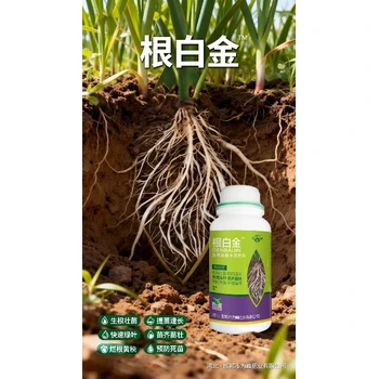 移栽生根生根劑生根肥多少錢,生根劑廠家批發(fā)