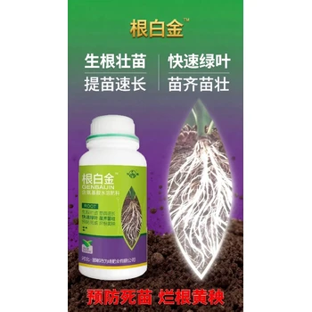 促生根生根粉生根肥生產(chǎn)廠家,生根肥廠家招商