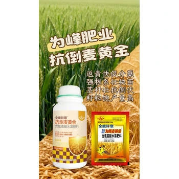 灌漿飽籽分蘗肥小麥高產(chǎn)增產(chǎn)肥代理,小麥胖墩廠家招商