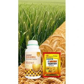 為峰肥業(yè)小胖墩小麥高產(chǎn)增產(chǎn)肥作用,小麥胖墩廠家招商