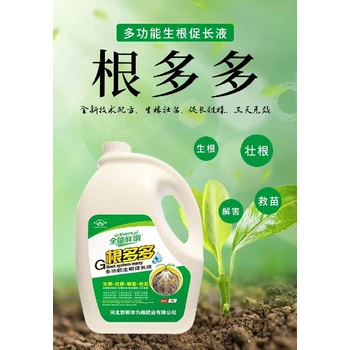 移栽生根根多多生根肥質(zhì)量,生根肥廠家招商