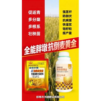 生根壯苗小胖墩小麥高產(chǎn)增產(chǎn)肥排名,小麥胖墩廠家招商