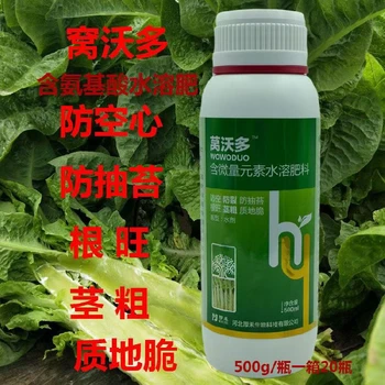 膨大根莖萵筍粗直長萵筍葉面肥調(diào)節(jié)劑,為峰肥業(yè)萵筍葉面肥