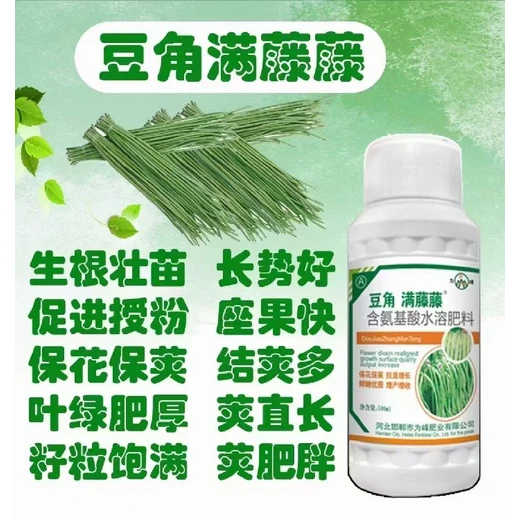 促授粉保莢增產(chǎn)豆角滿藤藤正品批發(fā)