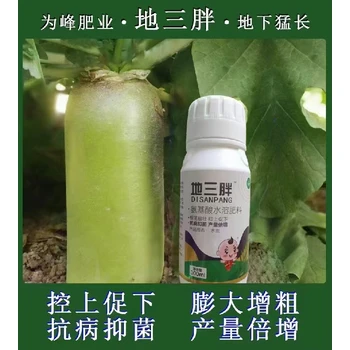 生根壯苗萵沃多萵筍葉面肥效果,萵筍萵壯素廠家批發(fā)