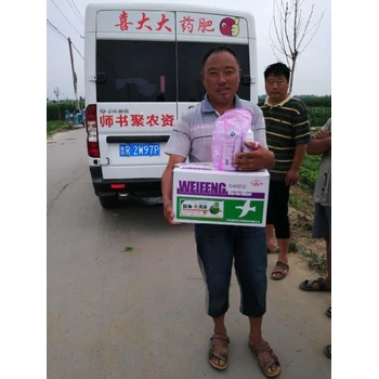 拉直拉長(zhǎng)?；ǚ冷P綠豆角滿藤藤怎么購(gòu)買(mǎi)