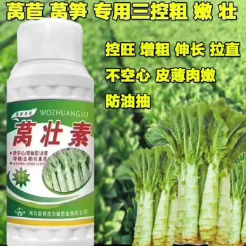膨大根莖萵筍粗直長萵筍葉面肥調(diào)節(jié)劑,為峰肥業(yè)萵筍葉面肥