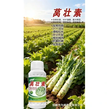 快速膨大萵壯素萵筍葉面肥批發(fā),為峰肥業(yè)萵筍葉面肥
