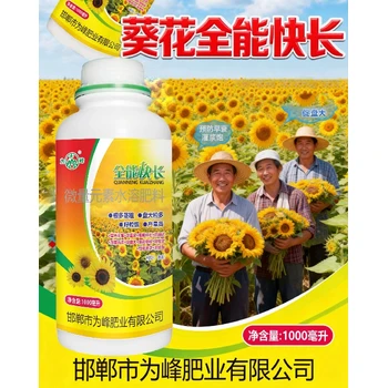 葵花授粉灌漿葵花增產(chǎn)葉面肥什么牌子,葵花高產(chǎn)葉面肥