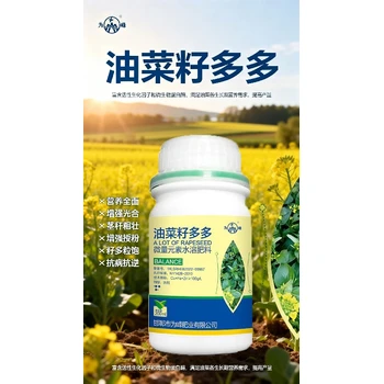 花芽分化油菜籽多多油菜葉面肥哪里賣,為峰肥業(yè)廠家批發(fā)