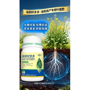 花多莢多油菜籽多多油菜葉面肥廠家電話,油菜增產(chǎn)增收葉面肥