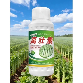 生根壯苗萵沃多萵筍葉面肥效果,萵筍萵壯素廠家批發(fā)