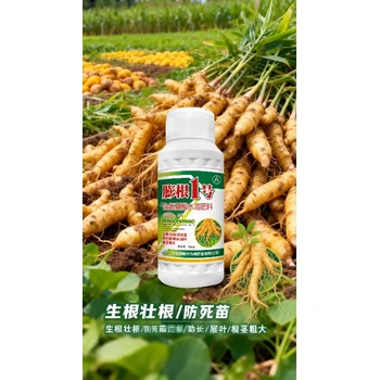 黨參黃精增粗增產(chǎn)中藥材膨根劑廠家,中藥材膨大素廠家批發(fā)