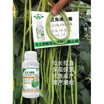 ?；ūＧv防銹病豆角滿藤藤怎么代理