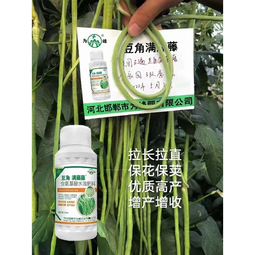 銹病防控有專方，葉面持久保青綠豆角滿藤藤正品批發(fā)