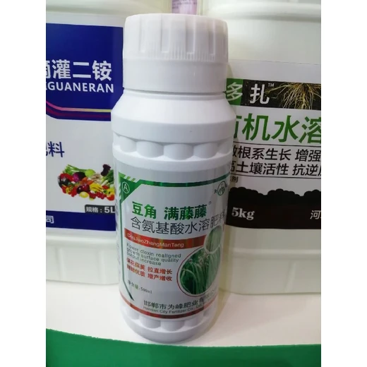 拉直拉長?；ǚ冷P綠豆角滿藤藤效果好