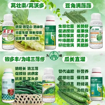 生根壯苗萵沃多萵筍葉面肥效果,萵筍萵壯素廠家批發(fā)