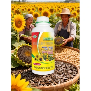 望日葵促進(jìn)授粉葵花增產(chǎn)葉面肥聯(lián)系電話,為峰肥業(yè)葵花葉面肥