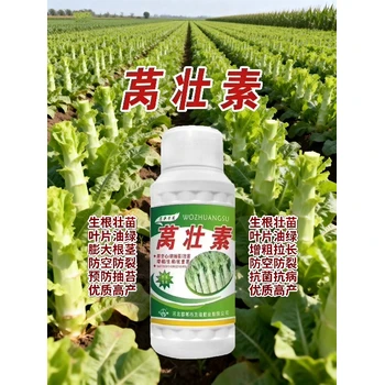 膨根防裂萵筍三控萵筍葉面肥水溶肥,萵筍萵壯素廠家批發(fā)