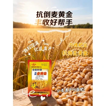 生根壯苗小胖墩小麥高產(chǎn)增產(chǎn)肥怎么樣,為峰肥業(yè)小麥增產(chǎn)肥