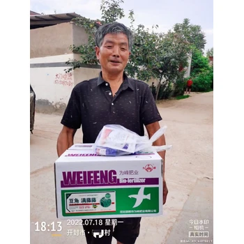 促授粉?；ūＧv拉直翠綠豆角滿藤藤怎么購買